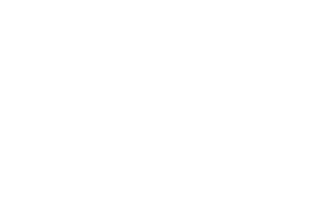logowh